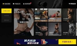 全网健身爆料视频大全集,揭秘健身界的秘密与技巧